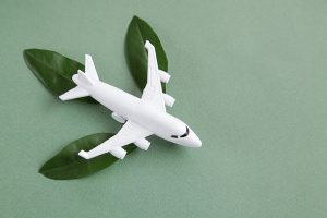Eco-Friendly Journeys: How to Travel Sustainably in a Changing World