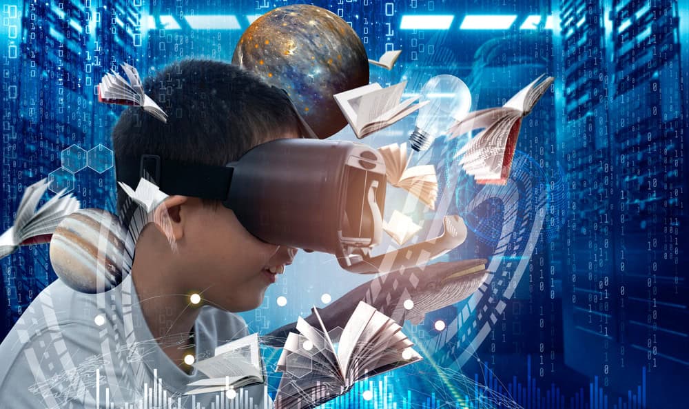 The Future of Public Libraries in the Information Age